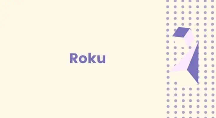 netflix roku playing title