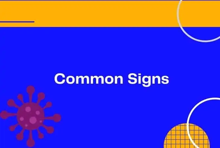 common signs router virus