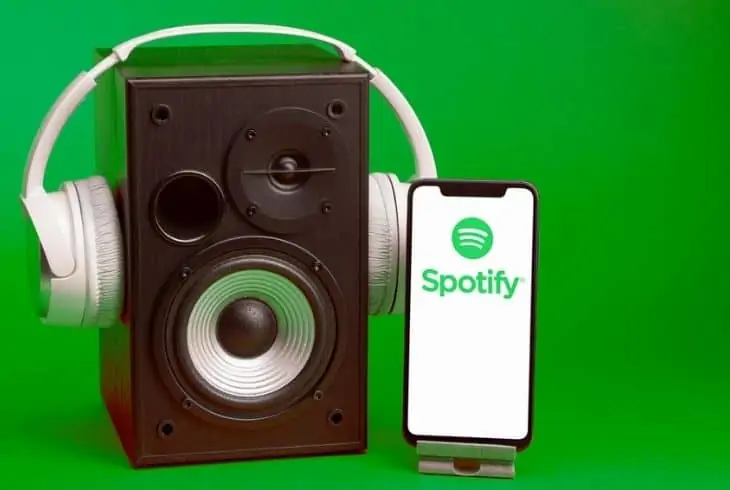spotify downloaded songs are not playing
