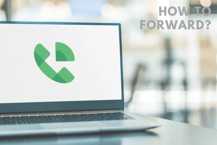 how to forward Google Voice to landline