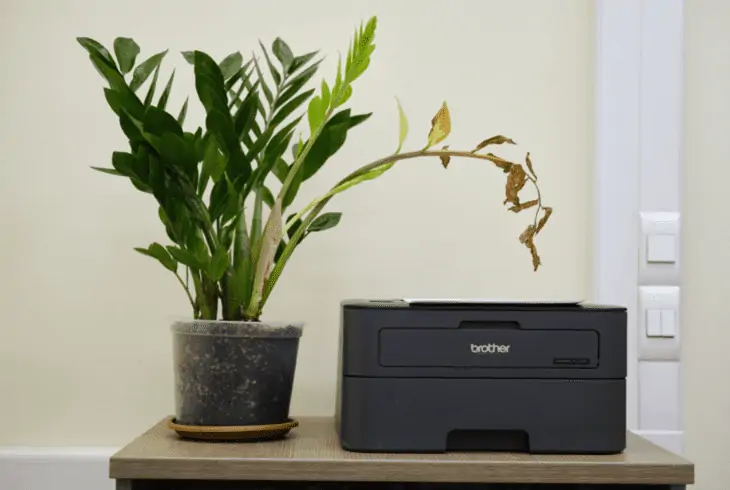 check status brother printer