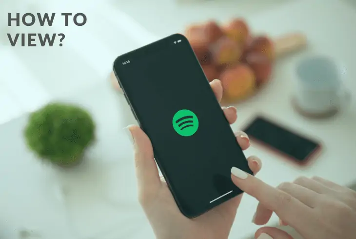 view friend activity on Spotify
