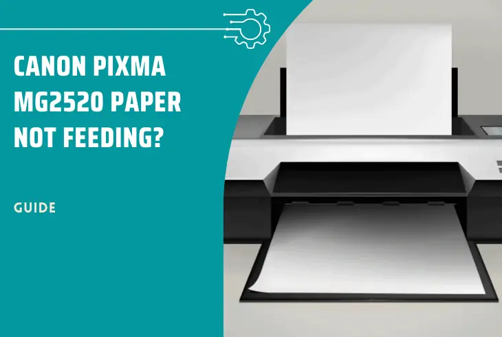 canon pixma mg2520 paper not feeding