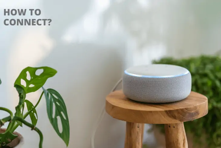 connect alexa to new wifi without app