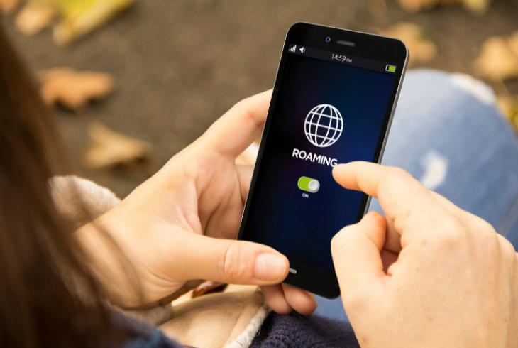 enable data voice roaming