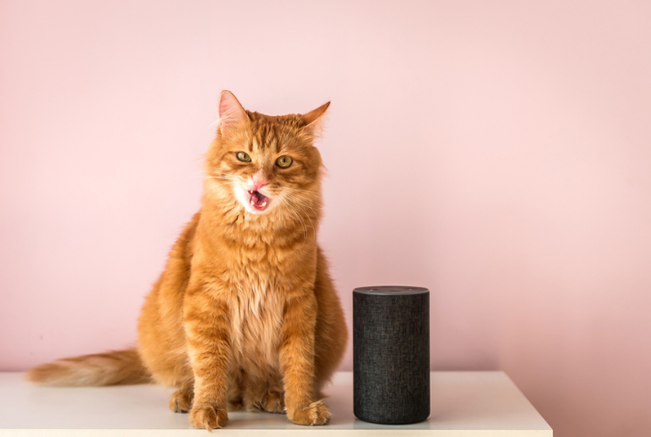 how to listen