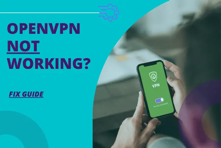 openvpn connected but not working