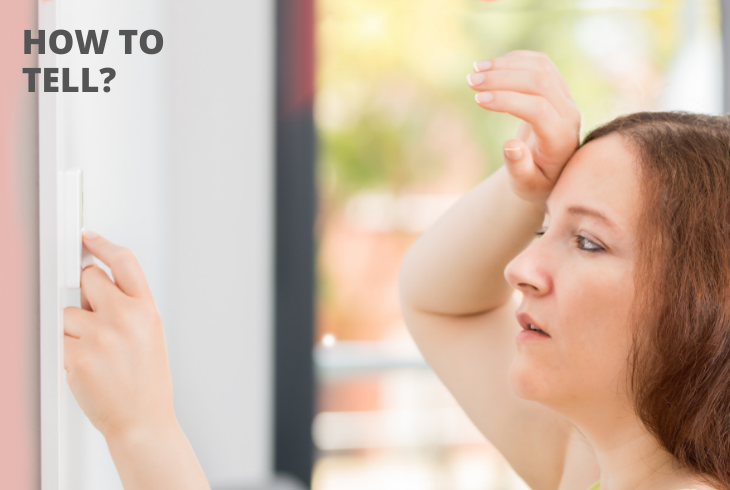 tell if your thermostat is low voltage