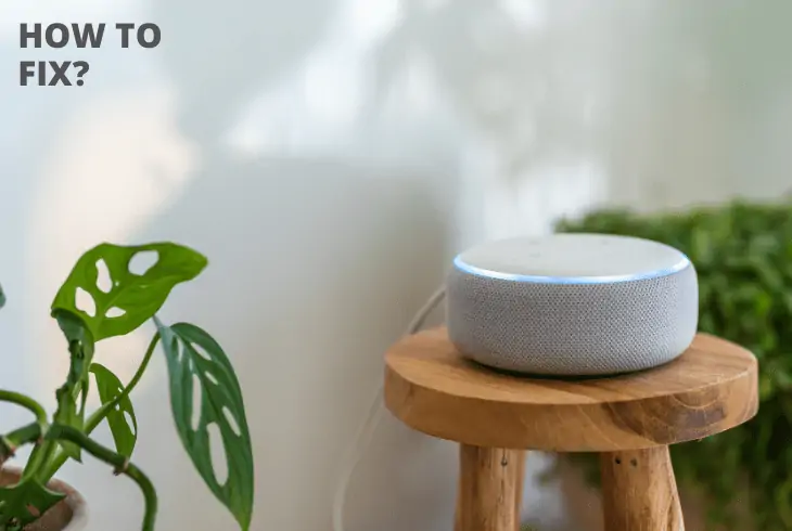 fix alexa chime randomly