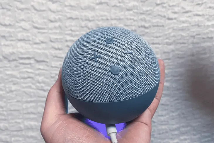 mute alexa