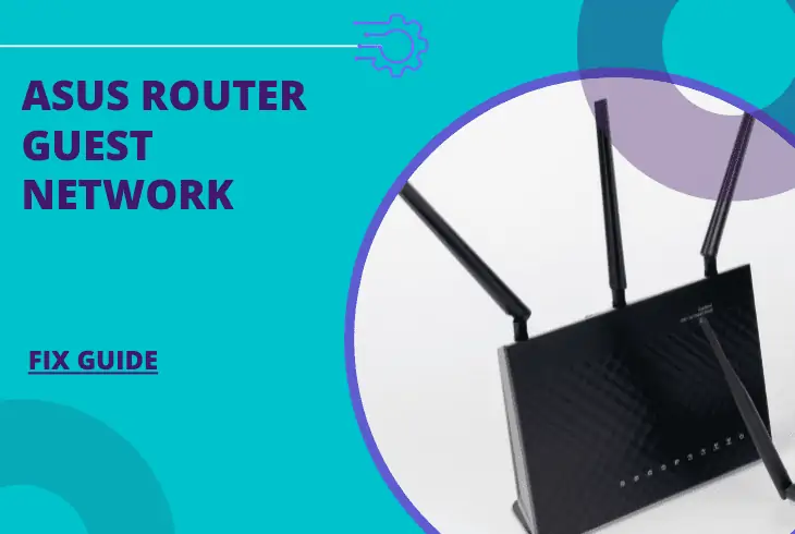 asus router guest network not working
