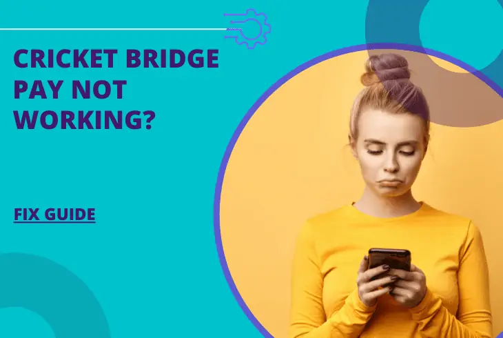 cricket bridge pay not working