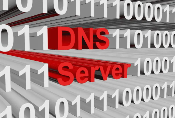 check dns sever