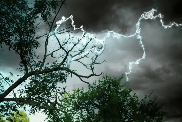 starlink during thunderstorm