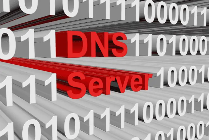 dns flush