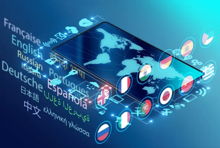 check input language