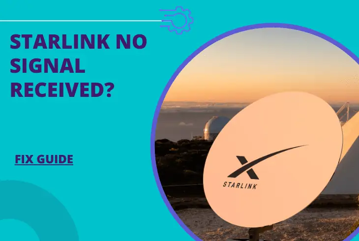 starlink no signal received