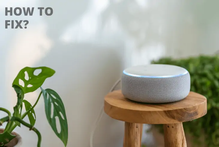 fix alexa won't connect to apple music