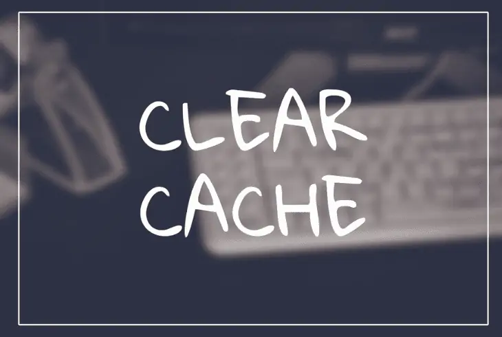 clear app cache