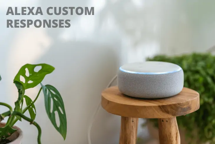 custom response alexa