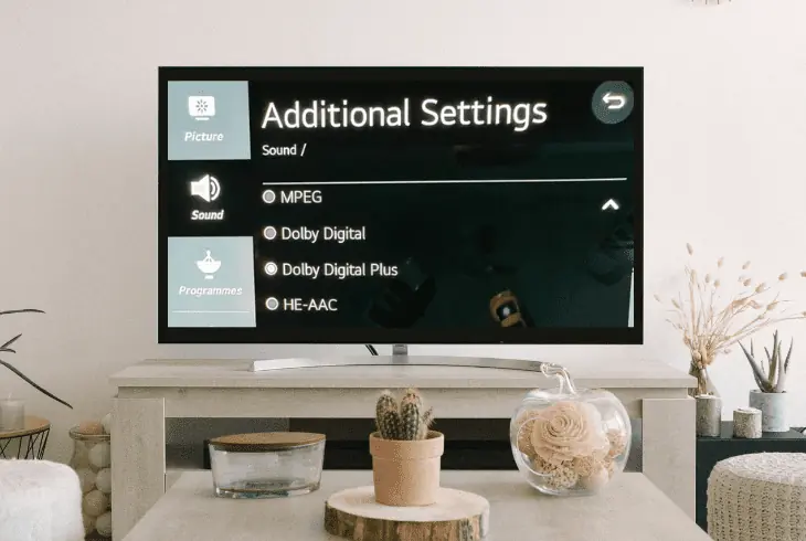 adjust audio settings on tv