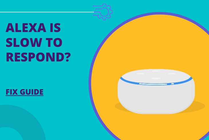 alexa is slow to respond