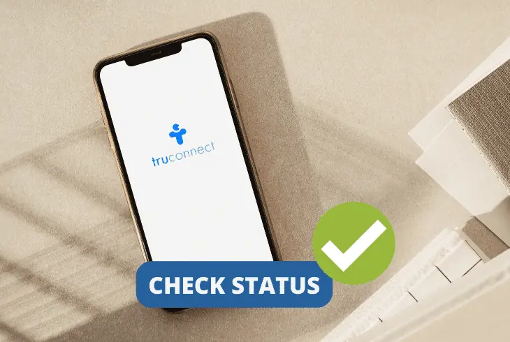 check application status