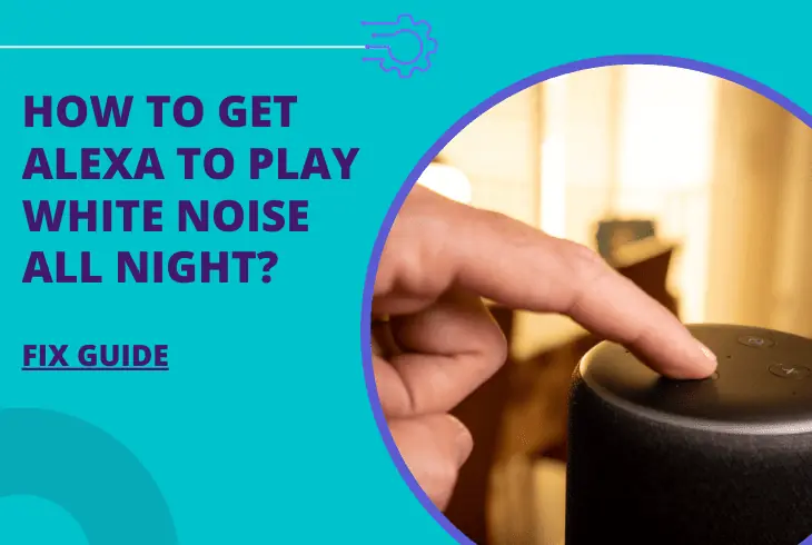 how to get alexa to play white noise all night