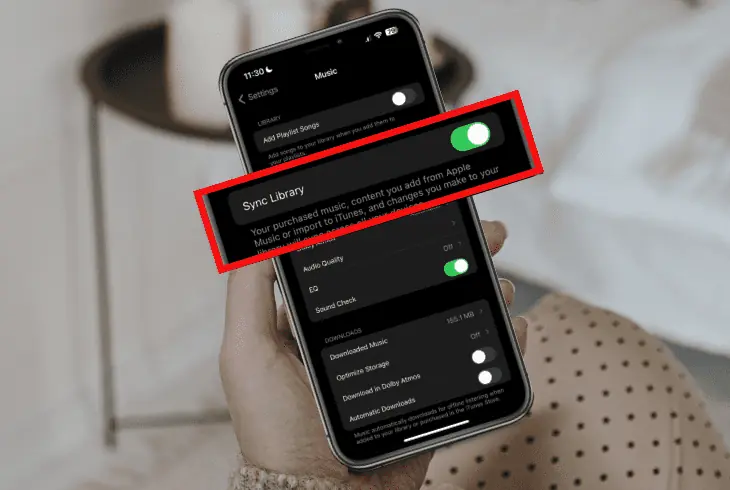 turn on sync library option