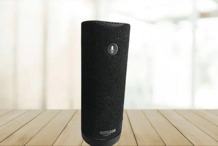 alexa-enabled portable speaker