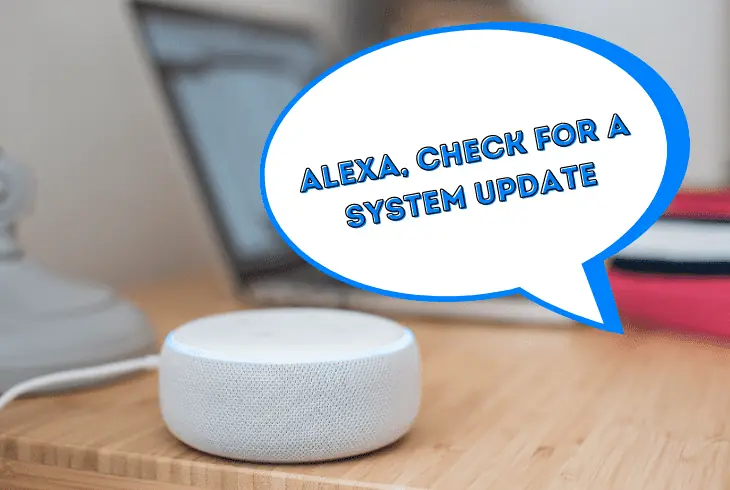 ask alexa for a system update