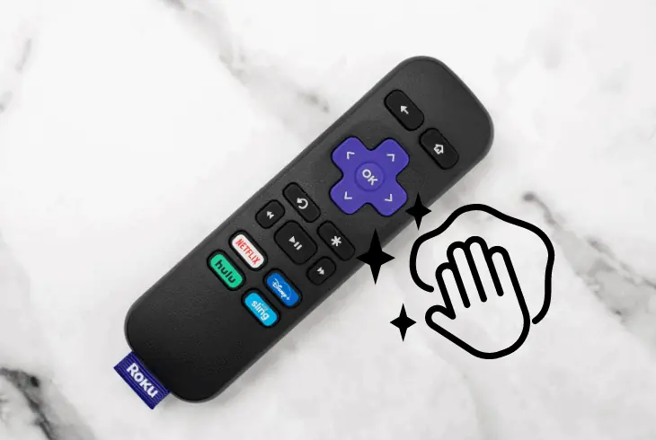 clean the roku remote