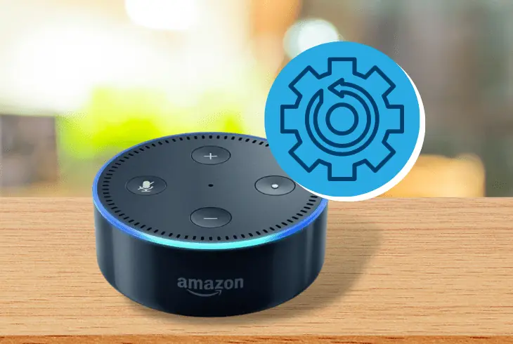 factory reset your echo dot