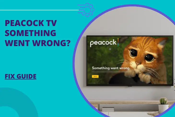 peacock tv something went wrong