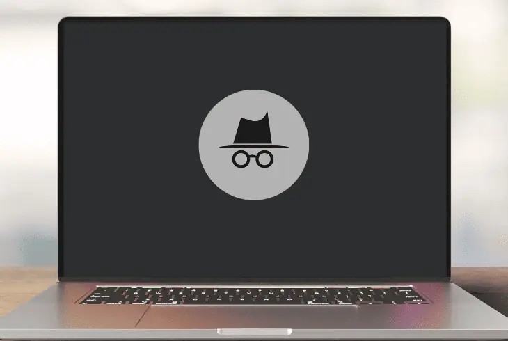test in the incognito mode