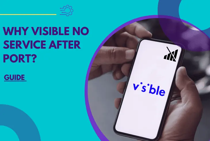 visible no service after port