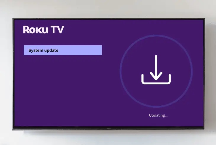 carry out pending roku updates