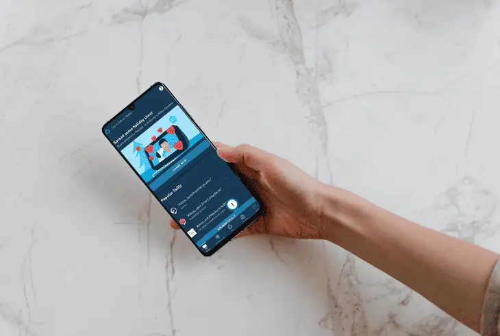 get an alexa youtube skill