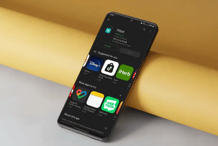 reinstall the fitbit application