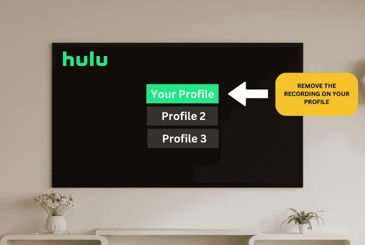 delete recordings from all profiles