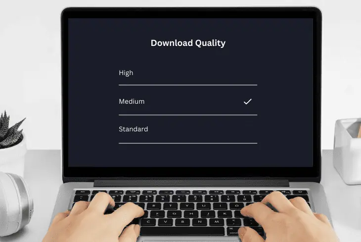 download in different quality