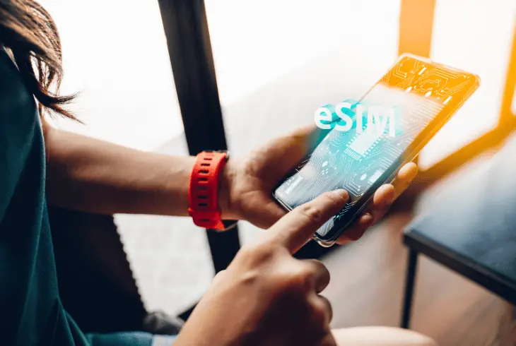 the phone network and esim settings
