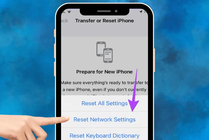 clear the device network settings