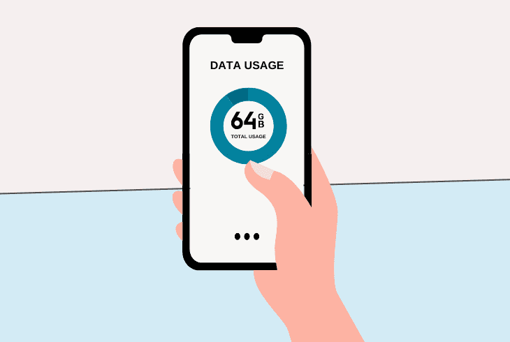 monitor the viasat plan data usage