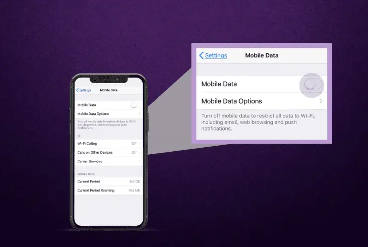 turn off the mobile data