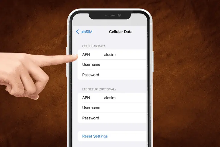 update the apn settings