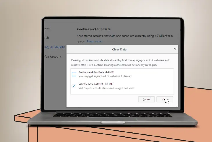 clear the browser cache and cookies