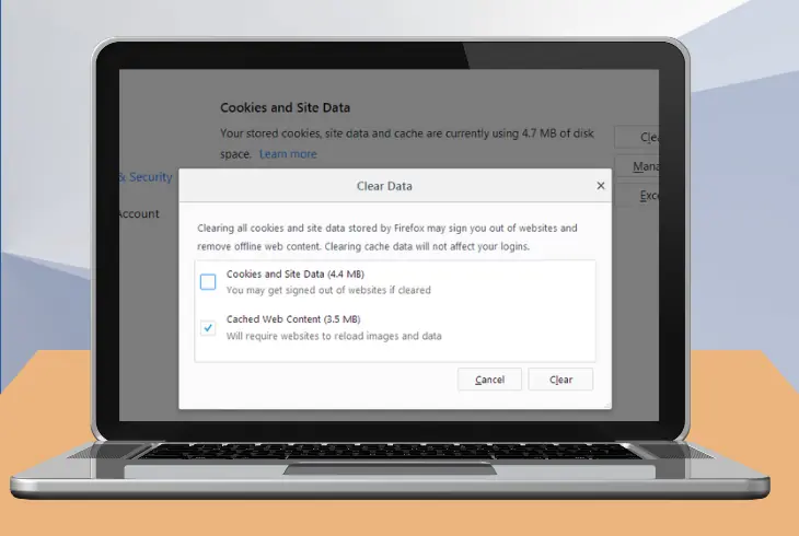 clear the browser cache before using