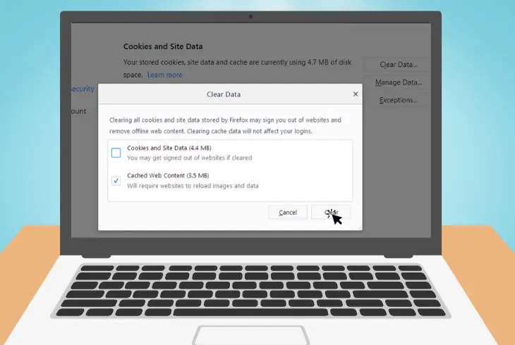 clear the browser cache and cookies