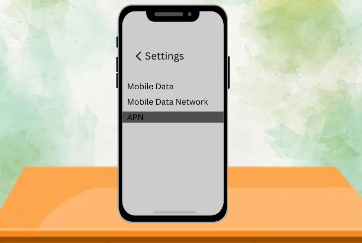 edit the apn settings